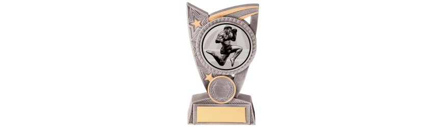 TRIUMPH MARTIAL ARTS TROPHY - 2 SIZES - 12.5CM - 15CM